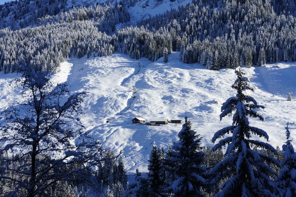 Apart Soellbacherhof Fügen Екстериор снимка